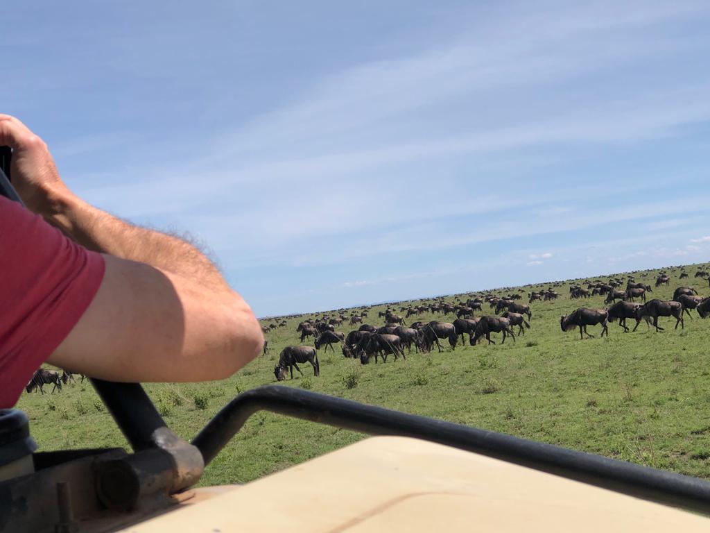 Great Migration safari