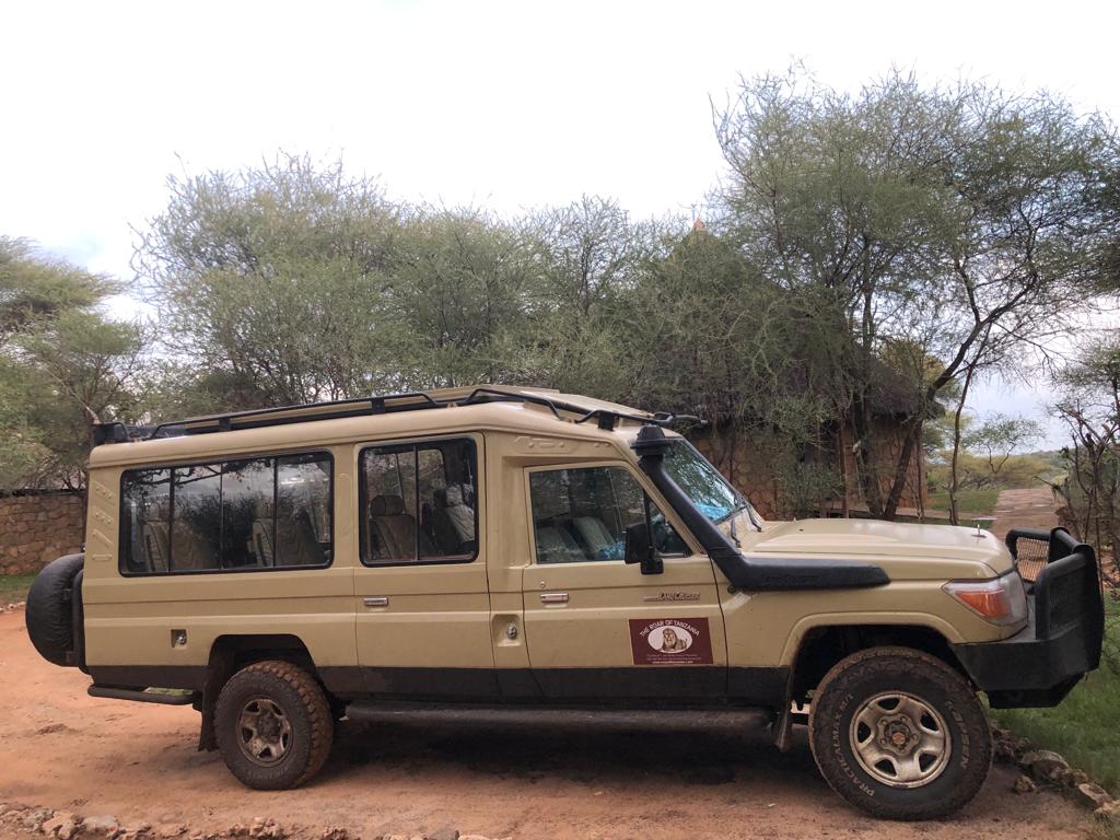 Safari camp at dawn